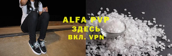 стафф Алексин