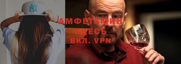 ECSTASY Алзамай