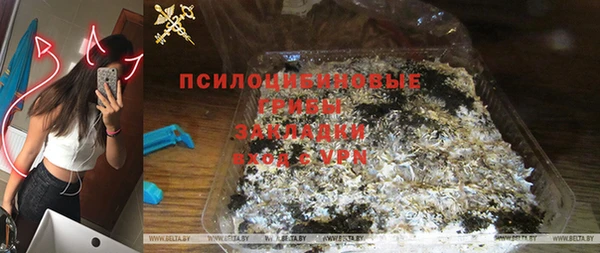 ECSTASY Алзамай