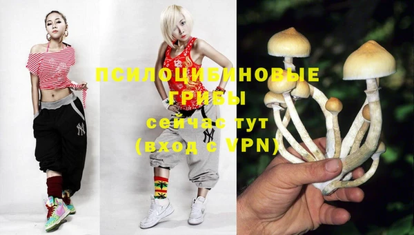 стафф Алексин